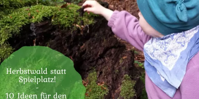Herbstwald statt Spielplatz! – 10 Ideen für den Waldspaziergang mit Kleinkind