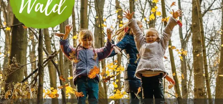Wald-Impulsewoche für Mamas – 5.-11. September 2022