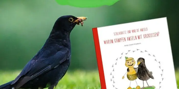 Warum kämpfen Amseln mit Krokussen? – Ein Naturentdeckerbuch für Kinder ab 4 Jahren