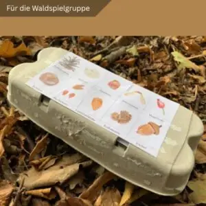 Eierkarton Schatzsuche - PDF Material für die Waldspielgruppe
