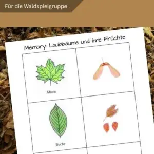 Memory: Laubbäume und ihre Früchte - PDF Material für die Waldspielgruppe