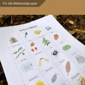 "Wald-Bingo" + "Wald und Wiesen Bingo Herbst"- PDF Material für die Waldspielgruppe